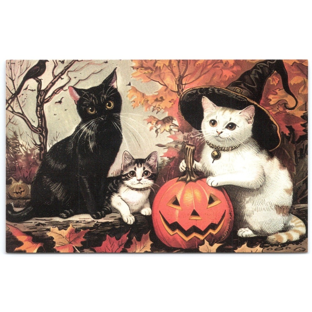 3 Cats JOL Modern Halloween Postcard Standard Size Witch Black White Kitten Moon